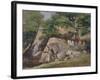 A View of the Valley of Rocks near Mittlach-James Arthur O'Connor-Framed Giclee Print