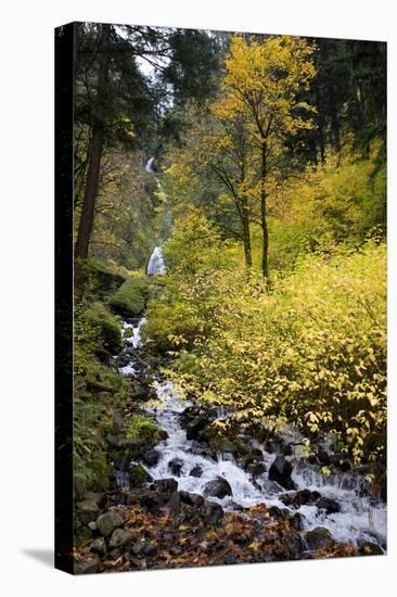 A View of Waukeena Falls in Oregon's Columbia River Gorge with Fall Colors-Bennett Barthelemy-Stretched Canvas