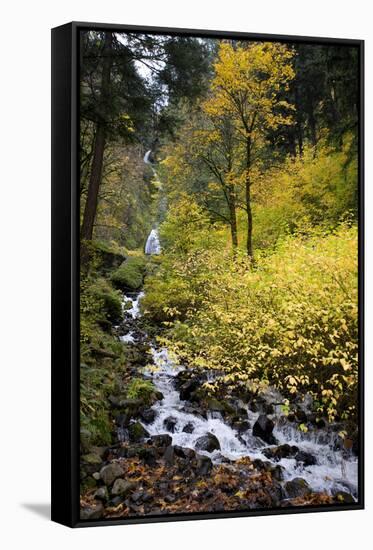 A View of Waukeena Falls in Oregon's Columbia River Gorge with Fall Colors-Bennett Barthelemy-Framed Stretched Canvas