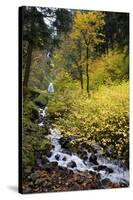 A View of Waukeena Falls in Oregon's Columbia River Gorge with Fall Colors-Bennett Barthelemy-Stretched Canvas