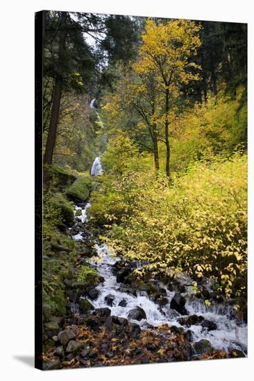 A View of Waukeena Falls in Oregon's Columbia River Gorge with Fall Colors-Bennett Barthelemy-Stretched Canvas