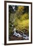 A View of Waukeena Falls in Oregon's Columbia River Gorge with Fall Colors-Bennett Barthelemy-Framed Photographic Print