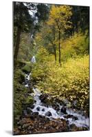 A View of Waukeena Falls in Oregon's Columbia River Gorge with Fall Colors-Bennett Barthelemy-Mounted Photographic Print