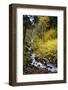 A View of Waukeena Falls in Oregon's Columbia River Gorge with Fall Colors-Bennett Barthelemy-Framed Photographic Print