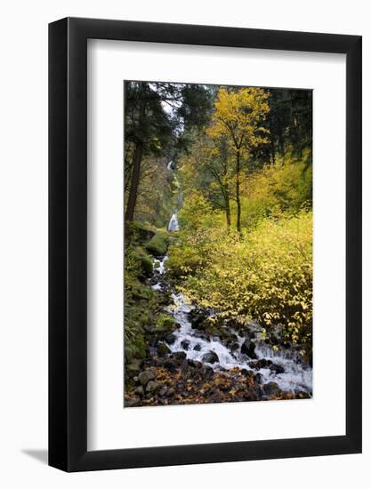 A View of Waukeena Falls in Oregon's Columbia River Gorge with Fall Colors-Bennett Barthelemy-Framed Photographic Print