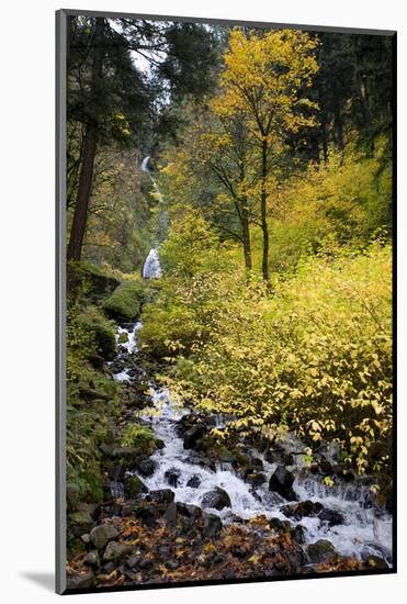 A View of Waukeena Falls in Oregon's Columbia River Gorge with Fall Colors-Bennett Barthelemy-Mounted Photographic Print