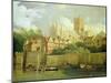 A View of Worcester Cathedral from the Southwest, 1791-Joseph Farington-Mounted Giclee Print