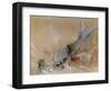 A View on The Rhine-J M W Turner-Framed Giclee Print