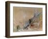 A View on The Rhine-J M W Turner-Framed Giclee Print