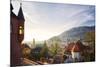 A View over the Misty Old Town of Heidelberg, Baden-Wurttemberg, Germany-Andreas Brandl-Mounted Photographic Print