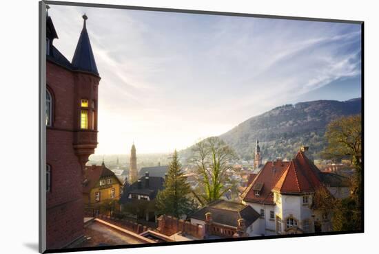 A View over the Misty Old Town of Heidelberg, Baden-Wurttemberg, Germany-Andreas Brandl-Mounted Photographic Print