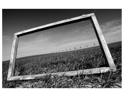 'A View Through The Window' Print | AllPosters.com