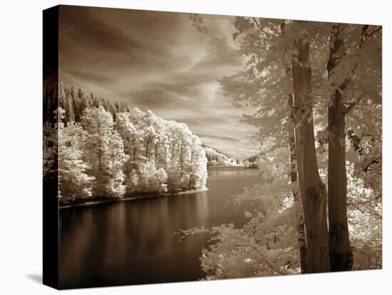 A View To Remember-Ily Szilagyi-Stretched Canvas