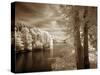 A View To Remember-Ily Szilagyi-Stretched Canvas