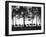 A View-null-Framed Photographic Print