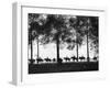 A View-null-Framed Photographic Print