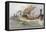 A Viking Raiding Fleet Racing across the North Sea-null-Framed Stretched Canvas