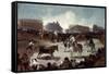 A Village Bullfight, C1812-1814-Francisco de Goya-Framed Stretched Canvas