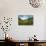 A Vineyard on a Hillside in Northern Italy with the Alps-Sheila Haddad-Photographic Print displayed on a wall