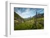 A Vineyard on a Hillside in Northern Italy with the Alps-Sheila Haddad-Framed Photographic Print