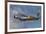 A Vintage F-86 Sabre of the Warbird Heritage Foundation-null-Framed Photographic Print