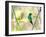 A Violet-Capped Woodnymph Perches on a Tree Branch in the Atlantic Rainforest-Alex Saberi-Framed Photographic Print