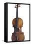 A Violin Stradivarius, by Antonio Stradivari-null-Framed Stretched Canvas