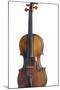 A Violin Stradivarius, by Antonio Stradivari-null-Mounted Photographic Print