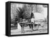 A Virginia Vegetable Cart-null-Framed Stretched Canvas