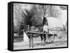 A Virginia Vegetable Cart-null-Framed Stretched Canvas