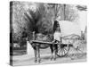 A Virginia Vegetable Cart-null-Stretched Canvas