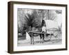 A Virginia Vegetable Cart-null-Framed Photo