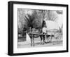 A Virginia Vegetable Cart-null-Framed Photo