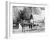 A Virginia Vegetable Cart-null-Framed Photo