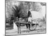 A Virginia Vegetable Cart-null-Mounted Photo