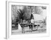 A Virginia Vegetable Cart-null-Framed Photo