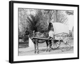 A Virginia Vegetable Cart-null-Framed Photo