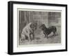 A Visit of Condolence-Heinrich Sperling-Framed Giclee Print