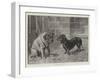 A Visit of Condolence-Heinrich Sperling-Framed Giclee Print