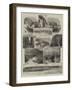 A Visit to Heligoland-null-Framed Giclee Print
