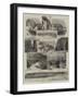 A Visit to Heligoland-null-Framed Giclee Print