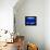 A Visitor Looks at the Jellyfish Called Brown Sea Nettle-null-Framed Stretched Canvas displayed on a wall