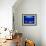 A Visitor Looks at the Jellyfish Called Brown Sea Nettle-null-Framed Premium Photographic Print displayed on a wall