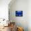 A Visitor Looks at the Jellyfish Called Brown Sea Nettle-null-Photographic Print displayed on a wall