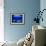 A Visitor Looks at the Jellyfish Called Brown Sea Nettle-null-Framed Photographic Print displayed on a wall