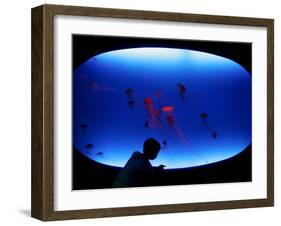 A Visitor Looks at the Jellyfish Called Brown Sea Nettle-null-Framed Photographic Print