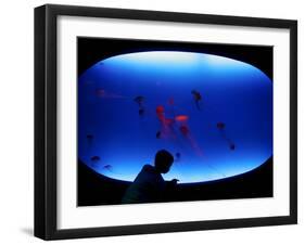 A Visitor Looks at the Jellyfish Called Brown Sea Nettle-null-Framed Photographic Print