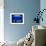 A Visitor Looks at the Jellyfish Called Brown Sea Nettle-null-Framed Photographic Print displayed on a wall