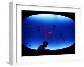 A Visitor Looks at the Jellyfish Called Brown Sea Nettle-null-Framed Photographic Print