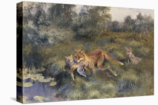 A Vixen with Her Cubs in a Wooded Marshy Landscape-Bruno Andreas Liljefors-Stretched Canvas